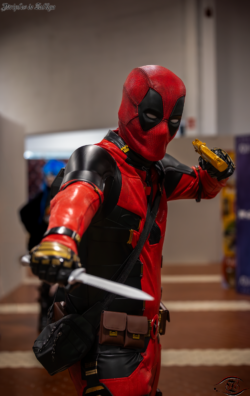 Redpool_fr