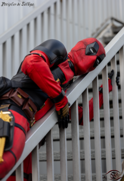 Redpool_fr
