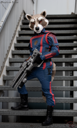 lanko_splay