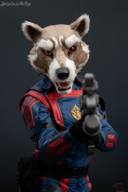 lanko_splay